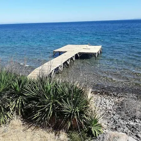 Tas Ev